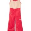 Spyder Kids Expedition Pants (Toddler/Little Kid) | Outerwear Pants and Sets -Dynamic Shoes Store 61qkCgtwsoL. AC SR736920
