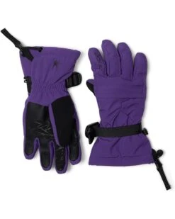 Spyder Kids Synthesis Ski Gloves (Big Kid)
